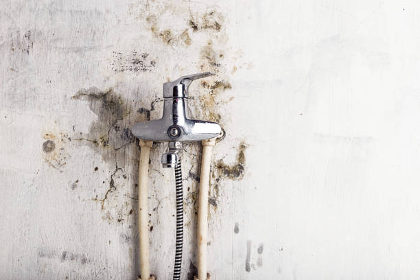 Trusted Butler, WI Mold Remediation Experts